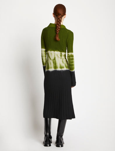 Back full length image of model wearing Dip Dye Knit Dress in LEAF/BLACK