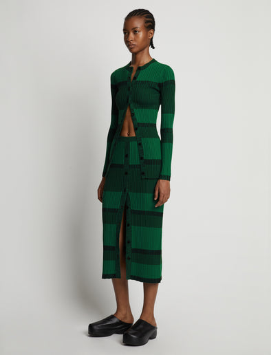 Side image of model wearing Mini Stripe Button Front Skirt in green/black