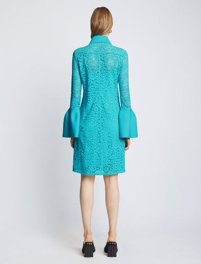 Back image of model wearing Stretch Lace Shirt Dress in cyan