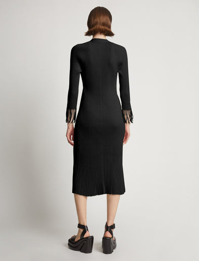 Back image of model wearing Viscose Knit Dress in black
