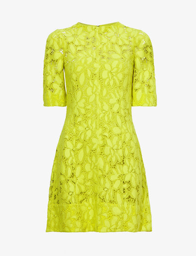 Flat image of Lace Dress in citron