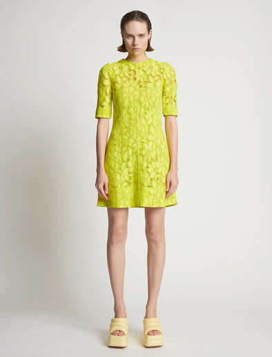 Front image of model wearing Lace Dress in citron