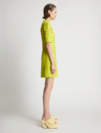 Side image of model wearing Lace Dress in citron