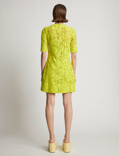 Back image of model wearing Lace Dress in citron