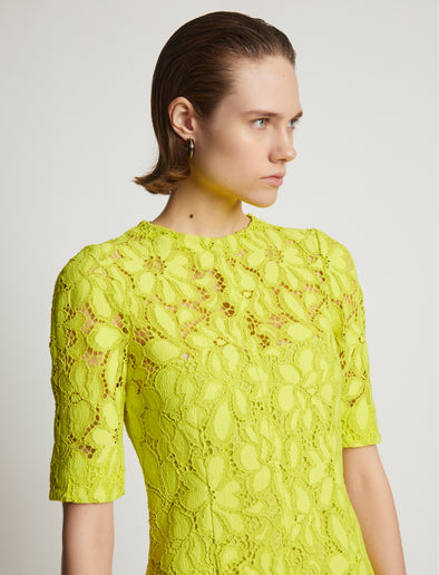 Detail image of model wearing Lace Dress in citron