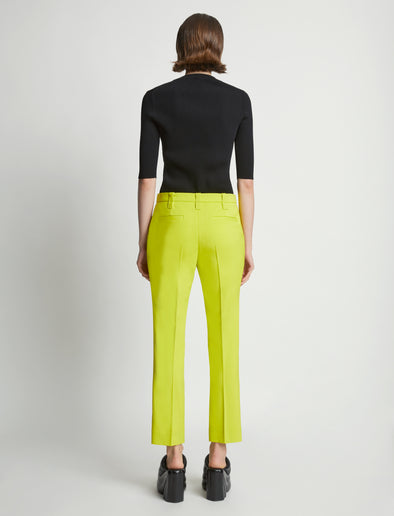 Back image of model wearing Viscose Suiting Straight Pants in sulphur