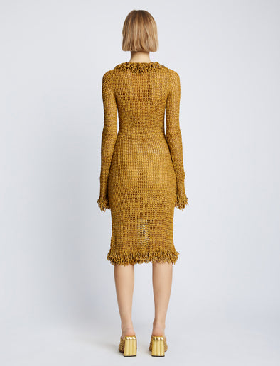 Back image of model wearing Embroidered Crochet Dress in gold