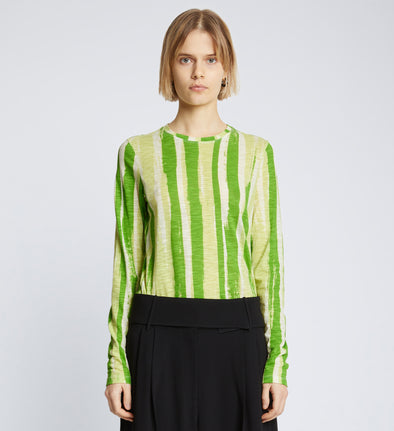 Front cropped image of model wearing Painted Stripe T-Shirt in GREEN MULTI