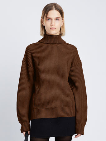 Cropped front image of Reversible Cotton Cashmere Sweater in ESPRESSO