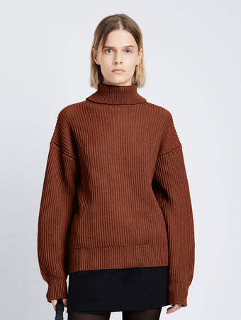 Cropped front image of model wearing Reversible Cotton Cashmere Sweater in BURGUNDY