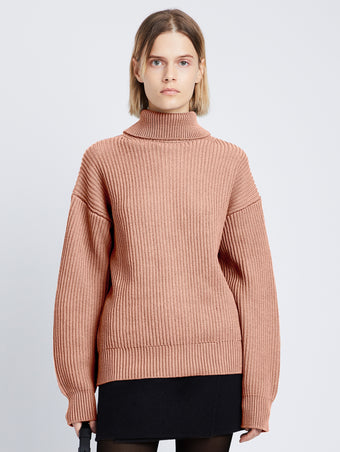 Cropped front image of model wearing Reversible Cotton Cashmere Sweater in ROSE