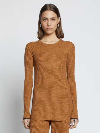 Front cropped image of model wearing Fine Gauge Rib Knit Top in CHESTNUT/BLACK