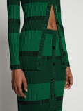 Detail image of model wearing Mini Stripe Button Front Skirt in green/black