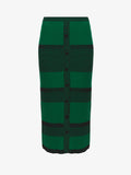 Flat image of Mini Stripe Button Front Skirt in green/black