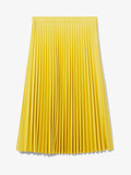 Flat image of Faux Leather Pleated Midi Skirt in sun