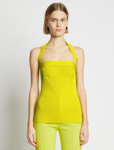 Cropped front image of model wearing Viscose Knit Halter Top in sulphur