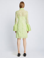 Back image of model wearing Stretch Lace Shirt Dress in lime