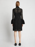 Back image of model wearing Stretch Lace Shirt Dress in black