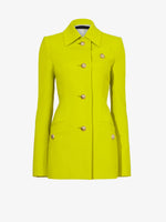 Flat image of Viscose Suiting Jacket in sulphur