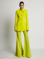 Front image of model wearing Viscose Suiting Jacket in sulphur