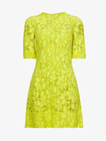 Flat image of Lace Dress in citron