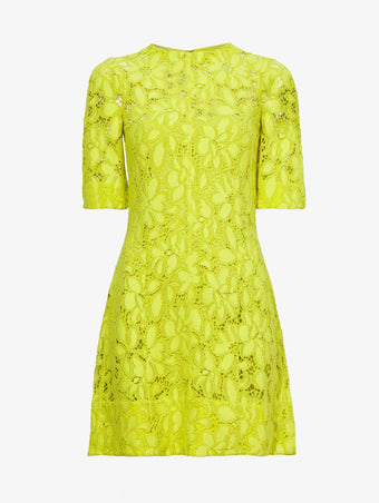 Flat image of Lace Dress in citron