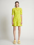 Front image of model wearing Lace Dress in citron