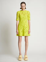 Front image of model wearing Lace Dress in citron