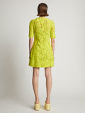 Back image of model wearing Lace Dress in citron