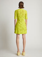 Back image of model wearing Lace Dress in citron