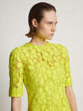 Detail image of model wearing Lace Dress in citron