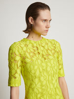 Detail image of model wearing Lace Dress in citron