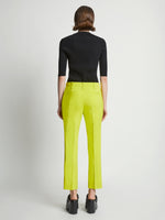 Back image of model wearing Viscose Suiting Straight Pants in sulphur