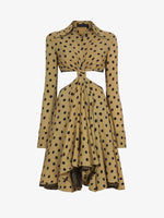 Flat image of Printed Dot Cut Out Shirt Dress in khaki black