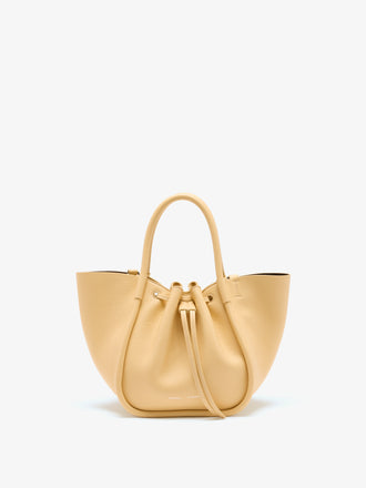 Proenza Schouler Front image of Small Ruched Tote in Birch