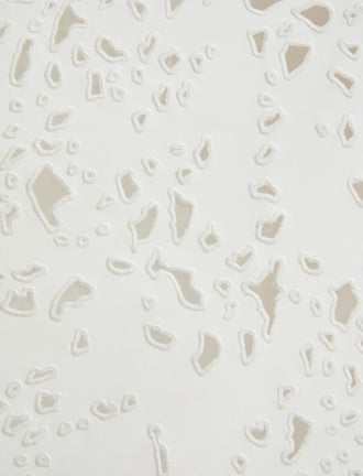 Proenza Schouler Detail image of fabric of Olene Skirt in Broderie Anglaise in White