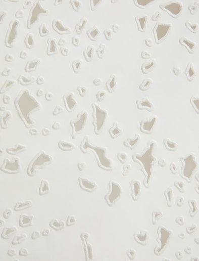 Proenza Schouler Detail image of fabric of Olene Skirt in Broderie Anglaise in White