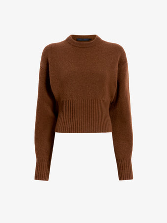 Proenza Schouler Still Life image of Randi Top in Boiled Wool in Brown