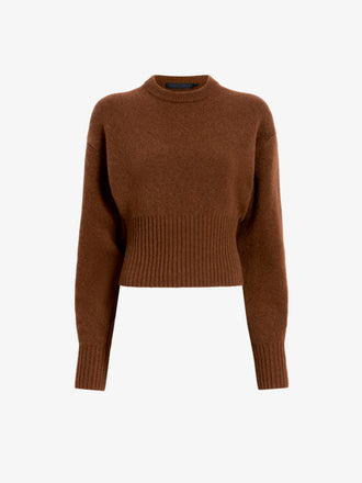 Proenza Schouler Still Life image of Randi Top in Boiled Wool in Brown