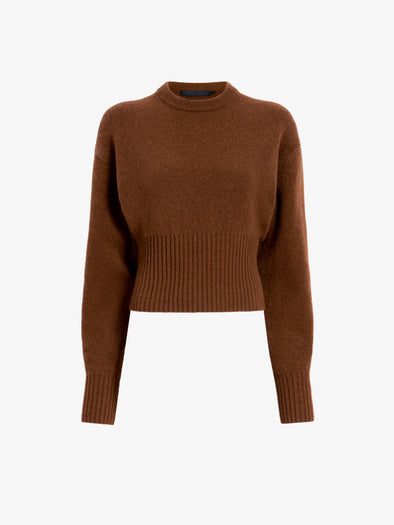 Proenza Schouler Still Life image of Randi Top in Boiled Wool in Brown