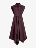 Proenza Schouler Still Life image of Adinna Dress in Classic Cotton Shirting in Aubergine