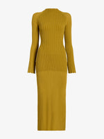 Proenza Schouler Still Life image of Roux Dress in Viscose Silk Rib in Gold