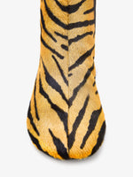 Proenza Schouler aerial image of Glove Ankle Boots in Haircalf in orange/black