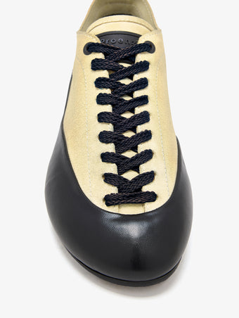 Proenza Schouler aerial image of Arcadia Sneakers in Almond with black laces