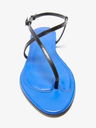 Proenza Schouler Detail image of Uma Slide Flat Sandals in Black  Cobalt Combo