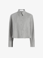 Proenza Schouler Still Life image of Olive Shirt in Stripe Cotton in Parchment, dark teal