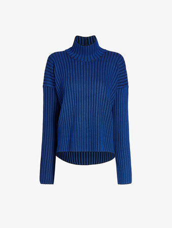 Proenza Schouler Still Life image of Elysia Sweater in Ladder Stripe Knits in BlueBlack