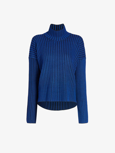 Proenza Schouler Still Life image of Elysia Sweater in Ladder Stripe Knits in BlueBlack