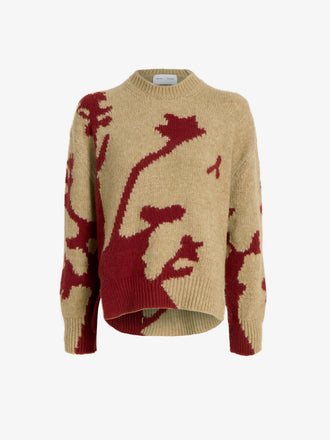 Proenza Schouler Still Life image of Cathy Sweater in Wool Knit in BrickBarley
